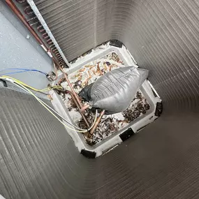 Bild von Efficient Systems, Inc.