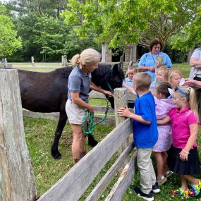 Island Farm offers its visitors a chance to pet their two Corolla wild horses up-close, and learn more about these incredible “banker ponies” and how they fit into early life on the Outer Banks.