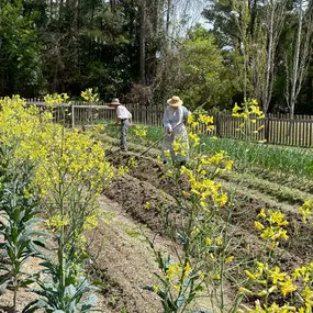 Island Farm's 19th-century farm has real interpreters in period attire demonstrating traditional agricultural from the 1850's.