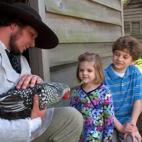 Bild von Island Farm