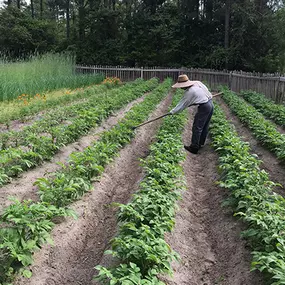 Bild von Island Farm