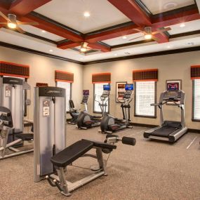 Professional Fitness Center at The Amalfi luxury apartments in Clearwater, FL