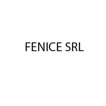 Logo van Fenice Srl