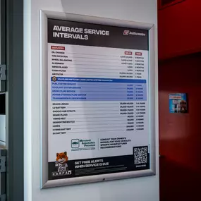 Bild von Tire Discounters