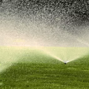 Bild von Pioneer Underground Lawn Sprinklers