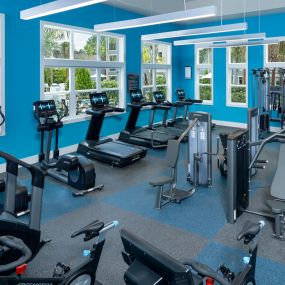 Professional Fitness Center at Waverly Terrace luxury apartments in Temple Terrace, FL