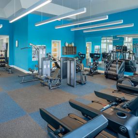 Professional Fitness Center at Waverly Terrace luxury apartments in Temple Terrace, FL