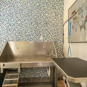 Pet Spa at Aurora Luxury Apartments in Downtown, Tampa FL