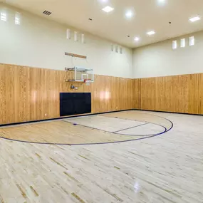 Basketball court