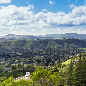 Bild von Gina Piper | Elation Real Estate