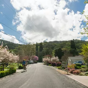 Bild von Gina Piper | Elation Real Estate