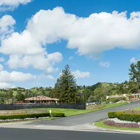 Bild von Gina Piper | Elation Real Estate