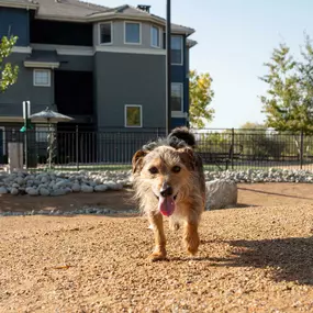 Private dog park