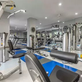 Fitness center with free weights