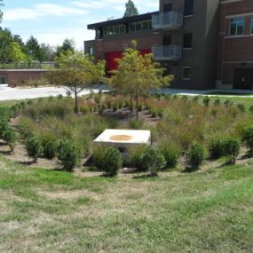 WithersRavenel, Civil and Environmental Engineering, Stormwater Control with Native Plants