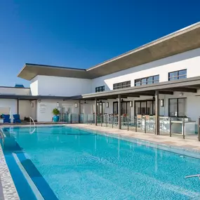 Rooftop pool with sun shelf