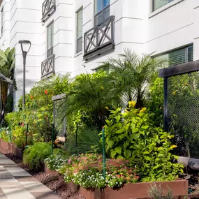 Reserve and tend to your very own garden plot at Camden North Quarter.