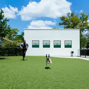 Dog park pet friendly apartments