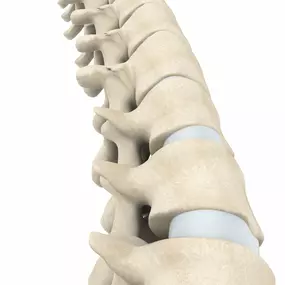 Spinal Health