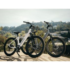 Bild von Greenpath Electric Bikes