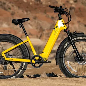 NOMAD 1 FAT TIRE BIKE . BUILT LIKE A TRUCK AND WILL TAKE YOU ANYWHERE