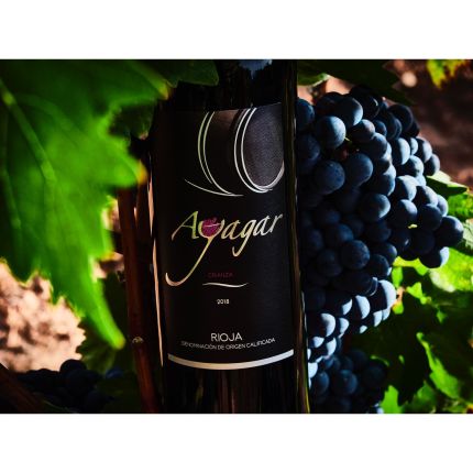 Logo de Bodegas Ayagar