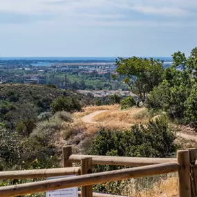 Walking Trail near Camden Hillcrest