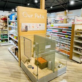 Pets Corner Brighton Interior