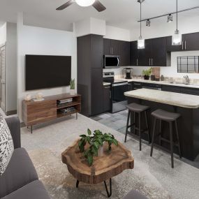 Soft loft style floor plan with spacious kitchen and living room at Camden Belmont apartments in Dallas, TX