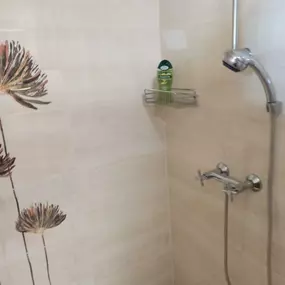 Apartmán U Lípy