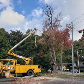 Bild von R & A Tree Service