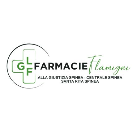 Logo from Farmacia Centrale - Farmacie Glf Spinea