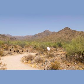 Neighborhood hiking trail