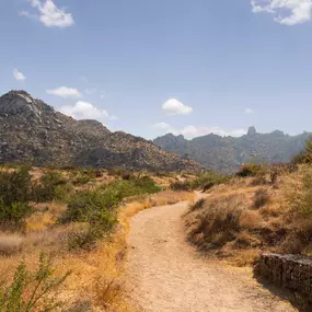 Neighborhood hiking trail