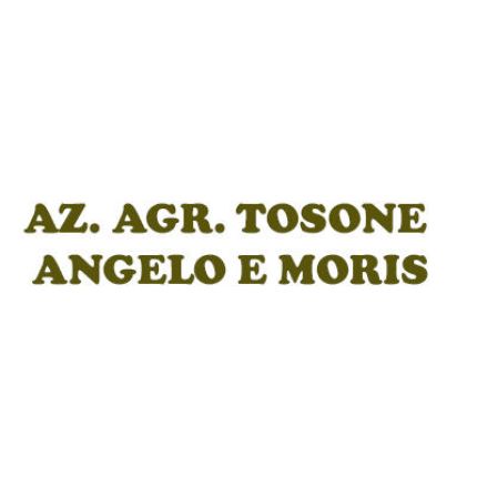 Logo da Az. Agr. Tosone Angelo e Moris