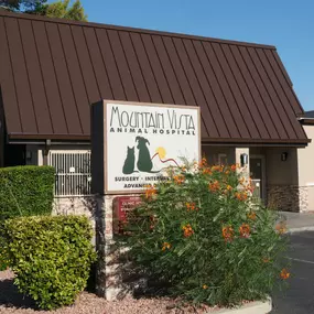Welcome to VCA Mountain Vista Animal Hospital!