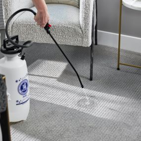 With our Pet Urine Removal Treatment (P.U.R.T.®), most carpets that are urine-soaked and stained can be saved. Prolonged exposure to pet urine will permanently damage your carpet, so our process works to remove the urine stain at its source and ensure that the pungent urine odor is gone for good.