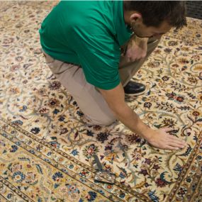 Our experienced technicians can clean nearly any type of rug, including oriental and Persian rugs. We know rugs can be expensive, and that is why we take extra care to ensure the safety and quality of your rugs while we perform our low-moisture area rug cleaning process.