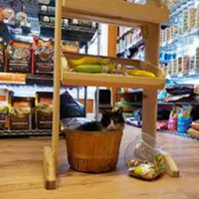 Bild von Ann-imals Pet Supply Store