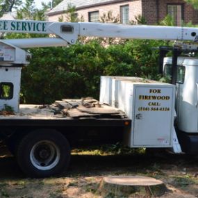 Our Bucket Truck is one of many specialized vehicles made for tree removal and trimming.