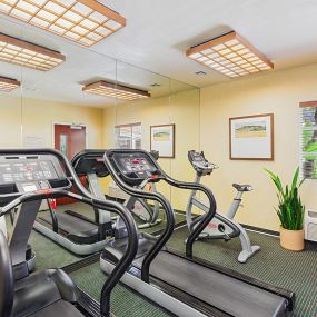 Clementine Hotel Fitness