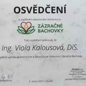 Ing. VIOLA KALOUSOVÁ, DiS. | SPECIALISTA One Brain