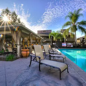 Newly Built Swimming Pool And Lounge