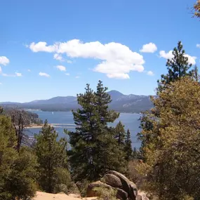 Bild von Big Bear Vacations