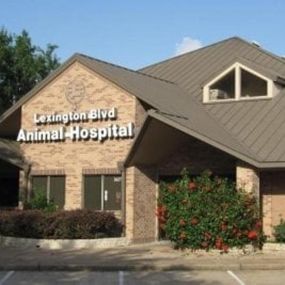 Welcome to VCA Lexington Boulevard Animal Hospital!
