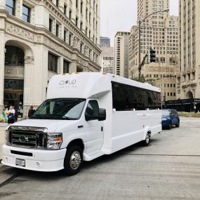 Chicago Wedding Party Bus