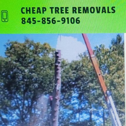 Logotipo de Cheap Tree Removals