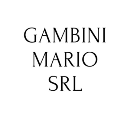 Logótipo de Gambini Mario