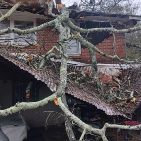 Fallen tree caused by high wind requires restoration on this Cobb County house.
