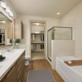 Large bathroom with tub and stand up shower and attached closet